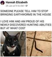 minä pyydystän matoja :3