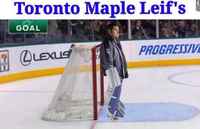 Toronto maple leifs