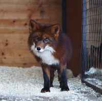 Kuvaukselliset vesselit pt.2