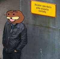 asiaton spurdoilu kielletty