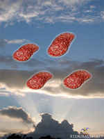 Salamia kirkkaalta taivaalta