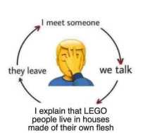 Lego Flesh