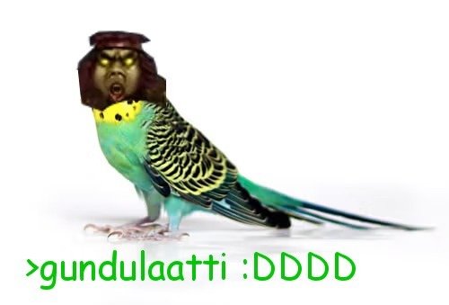 gundulaatti