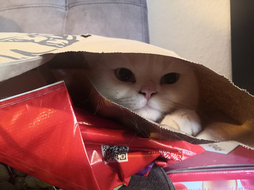 vahdin sun kaloreitas