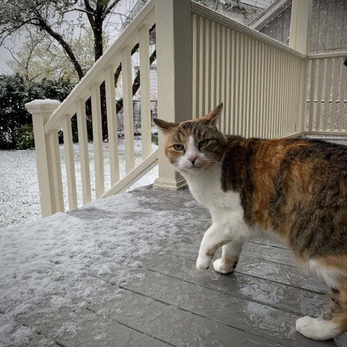mutta siellähän on lunta