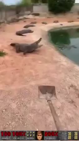 nyt rokodiilit vittuun siitä rannalta