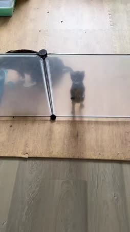 miiiiiiiiiiiiiiiiiiiiiiiiiiiiiu