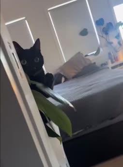 älä räplää mun puskaa