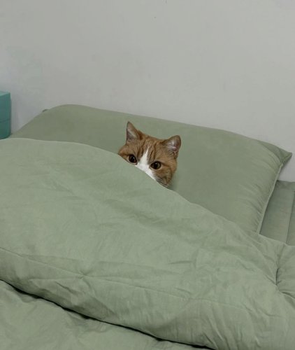 kuka laitto valot päälle