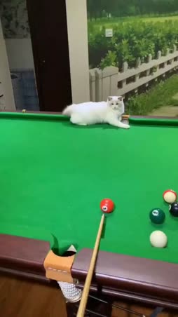 annas kun mä autan :3