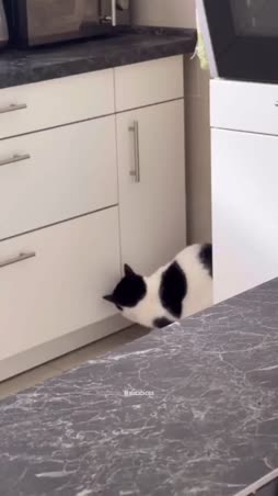 täällä on hyvä piilo