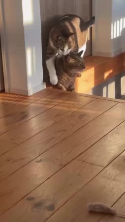 Peräkammarin poika >:3