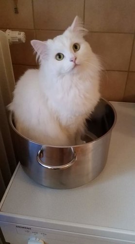 valitsen tämän kattilan