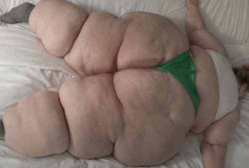 Persettä