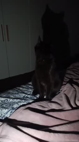 mitä tämä magia