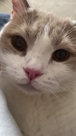mäy