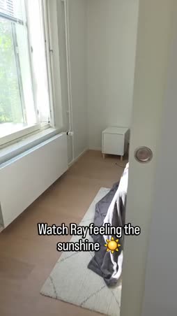 lämmintä