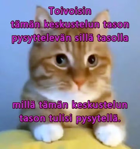 kisun toive