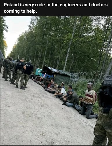 Puola ja tohtori-insinöörit