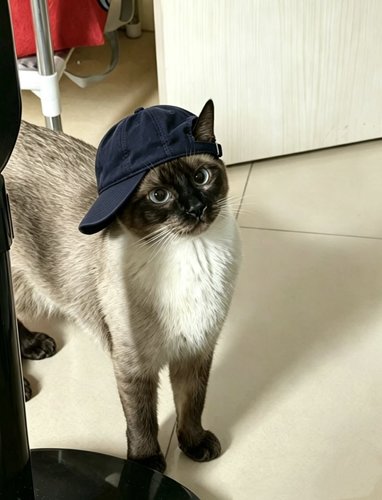 räppäri
