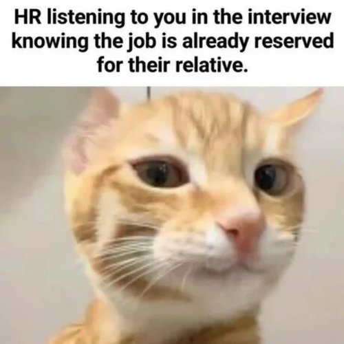 hr nauta