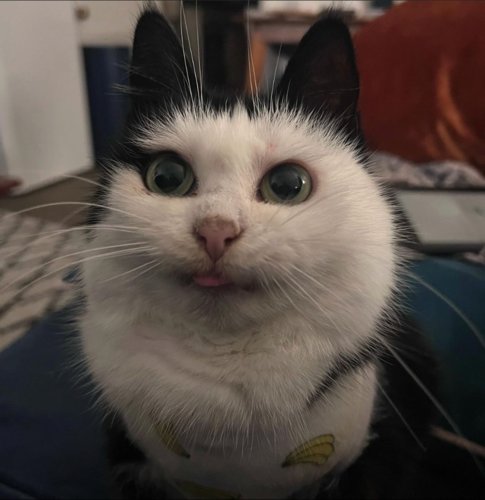 MLEM