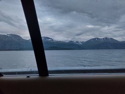 Siellä ne haavruuvat huutaa, hyvä että sai nukuttua