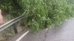 Päällystevaurio
