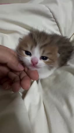 miu :3