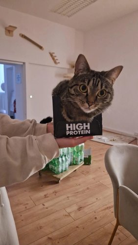 börh