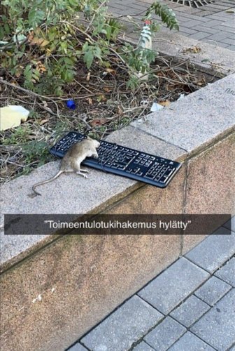 Toimeentulotukihakemus hylätty