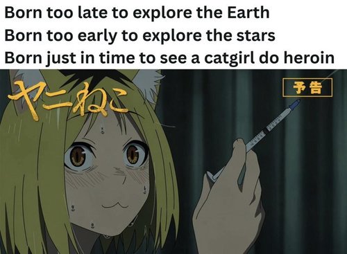 uwu kissa tyty