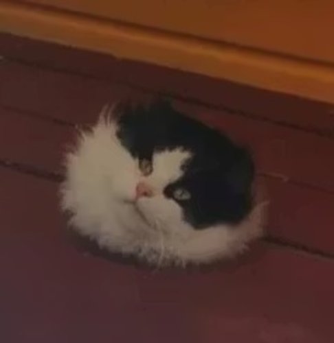 ilmeeni kun olen majän räästtäässä kiini